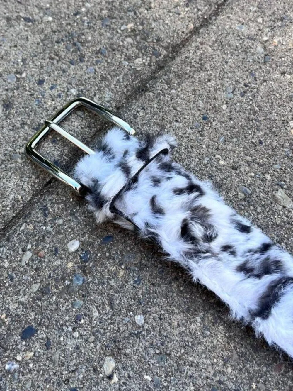 Leopard Print Belt with Single-Prong Buckle